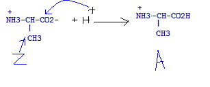 un peu de biochimie