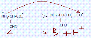 un peu de biochimie