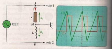 diple (R,L)