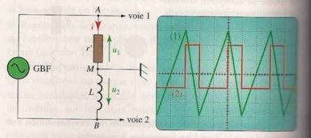 diple (R,L)