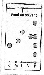 Constituants d\'un arme