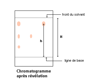 Exo Dm de physique