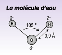 famille et propri�t�s chimiques