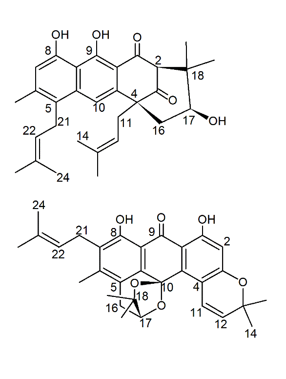 Nomenclature en chimie organique