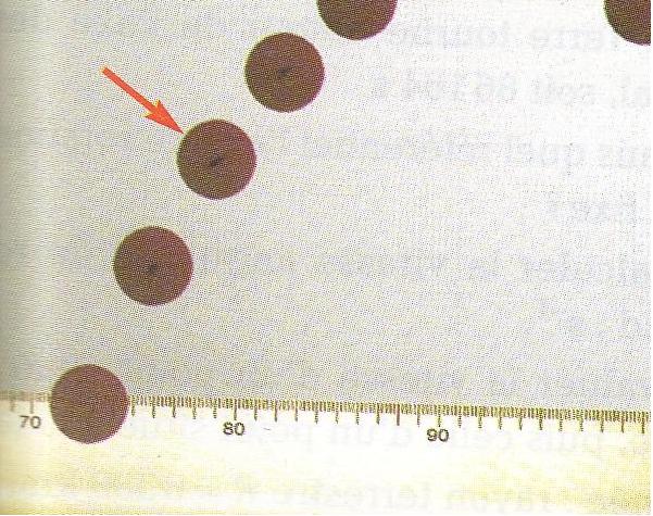 exercice de photographie d\'une balle taille rel de la rgl