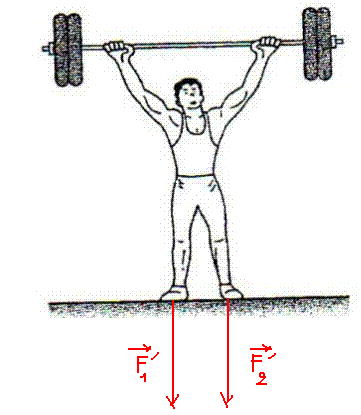 Exercice physique force 1re