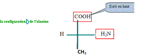 Chimie organique - liaison peptidique