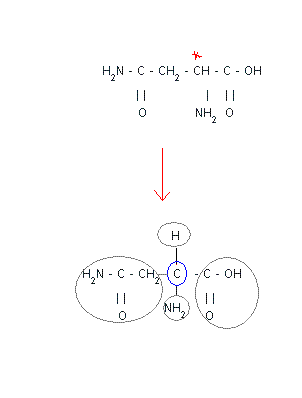 Chimie organique - L\'asparagine