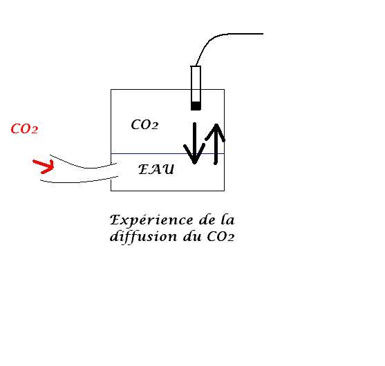 TPE SVT / physique chimie