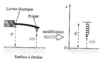 Mircroscope  force atomique