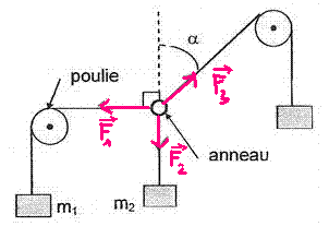 Action mcaniques, poulie/anneau