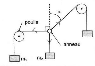Action mcaniques, poulie/anneau