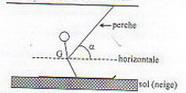 Mcanique: Forces et projections.