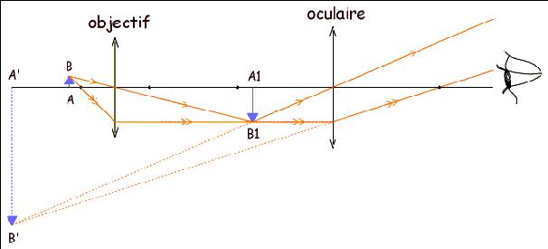 Microsope et Myopie