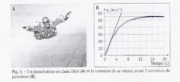 Mouvements et forces
