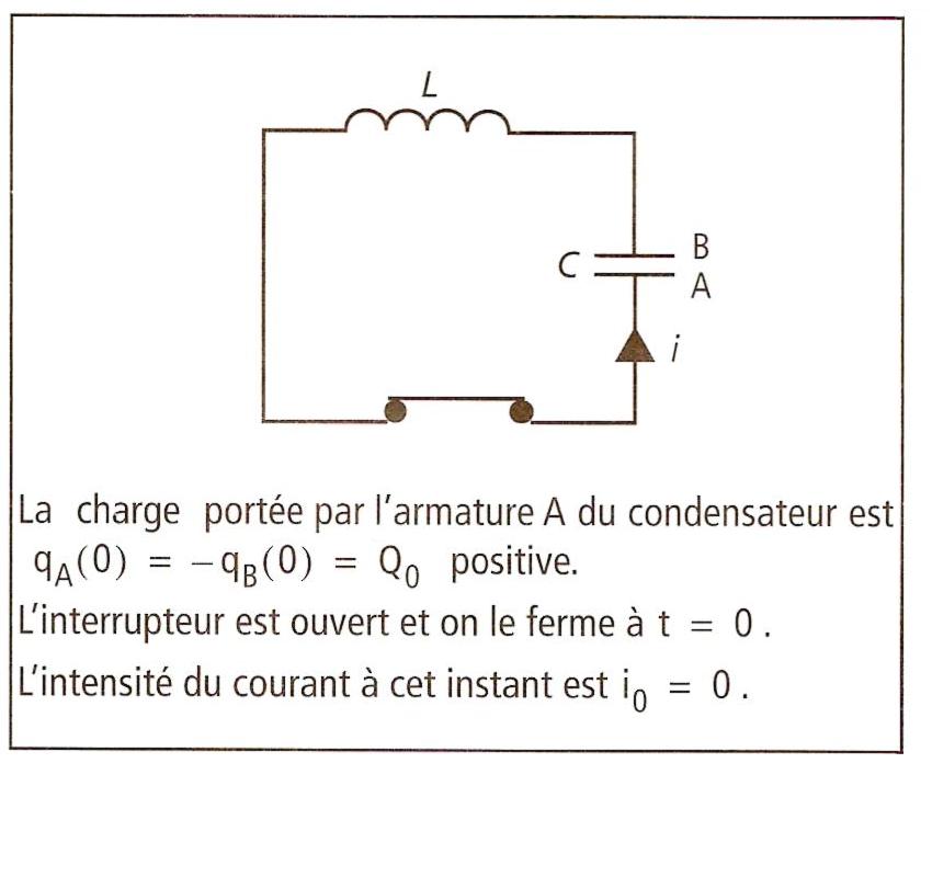 tude de deux modles d\'oscillateurs