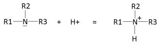 Dterminer la formule d\'une amine sature