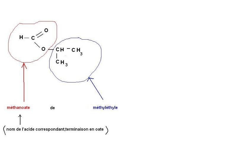 les esters nomenclature