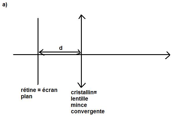 lentille