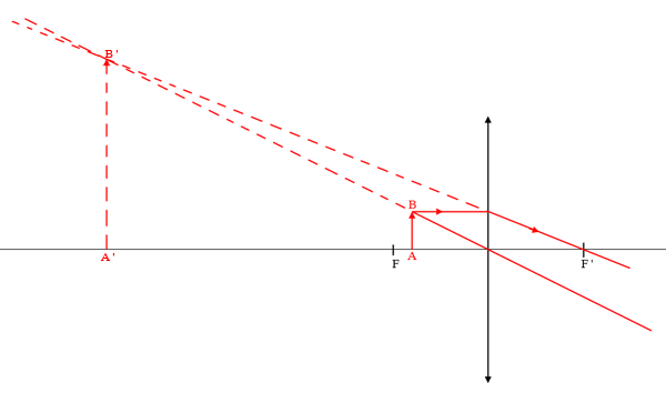loupe