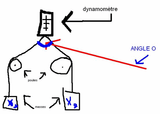 Laboratoire avec DYNAMOMTRE ET FORCES
