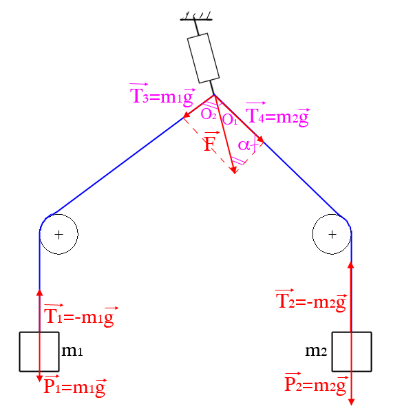 Laboratoire avec DYNAMOMTRE ET FORCES
