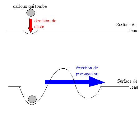 Cuve  onde : onde transeversale