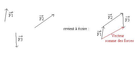 Vecteur somme des forces