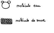 melange sucre et eau