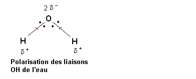 Solvation des ions 