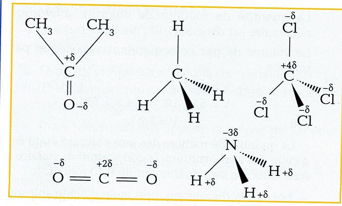 Molcules polaires : Exercices 
