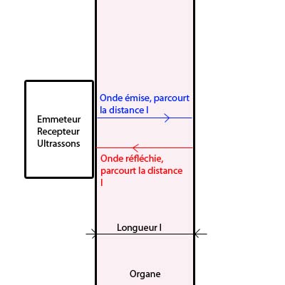 Echographie et prcision