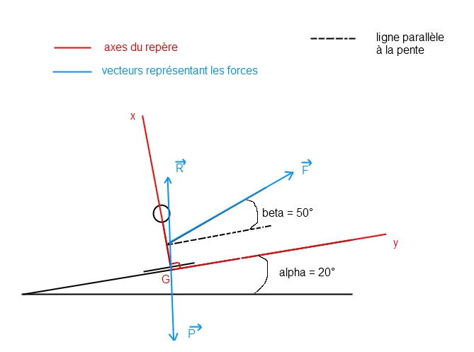 devoir maison physique  les forces 