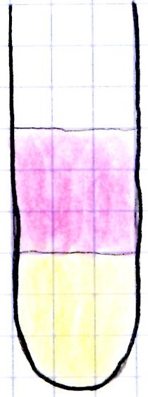 TP : extraction du diiode 
