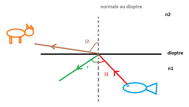 savoir identifier les phnomnes de rflexion et rfraction