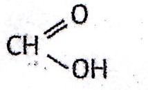 TP : Familles de molcules