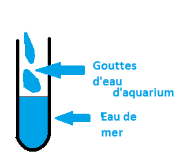 Schma