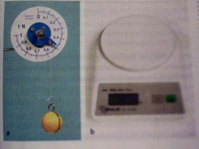 Le dynamomtre mesure