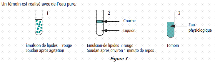 Etude des composs lipidiques (proprits)