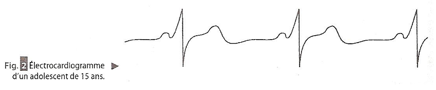 Principes de l\'lectrocardiographie et de l\'lectroencphalograp