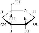 Etude du glycogne