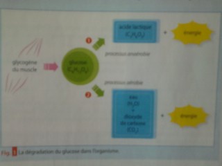 exercice de chimie