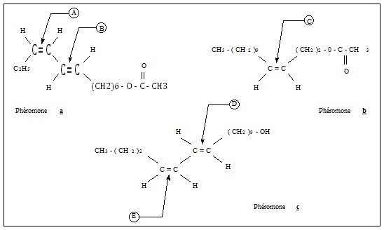 Chimie organique