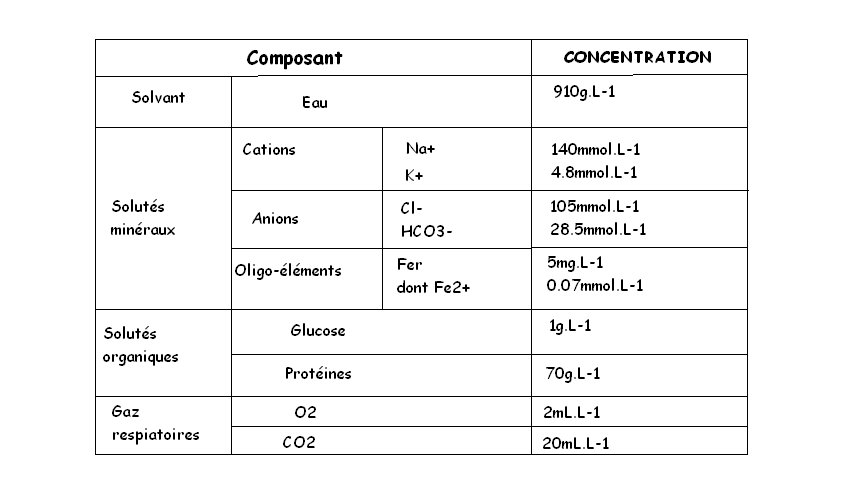 Exercice de Synthse - Plasma Sanguin