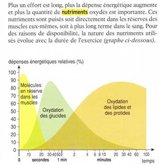 DM nutriments 
