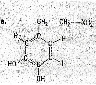 Groupes caractristiques d\'une molcules