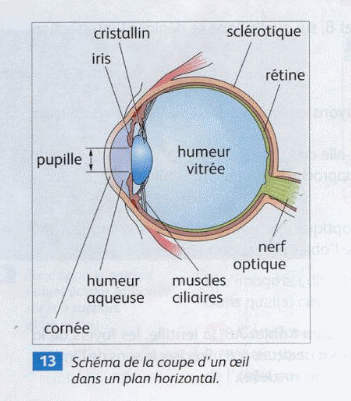Exercice Physique