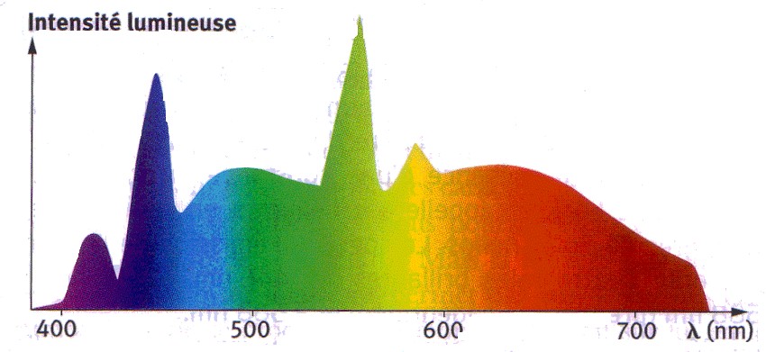 les lampes fluocompactes