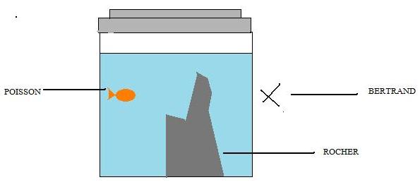 Exercice sur la refraction et reflexion totale (2nd)