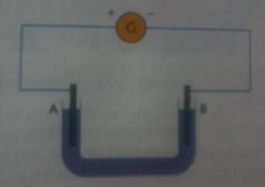 Exercice ions
